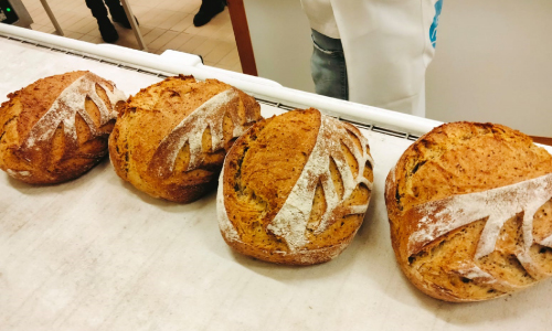 Farines de gran qualitat per fer pa d'espelta
